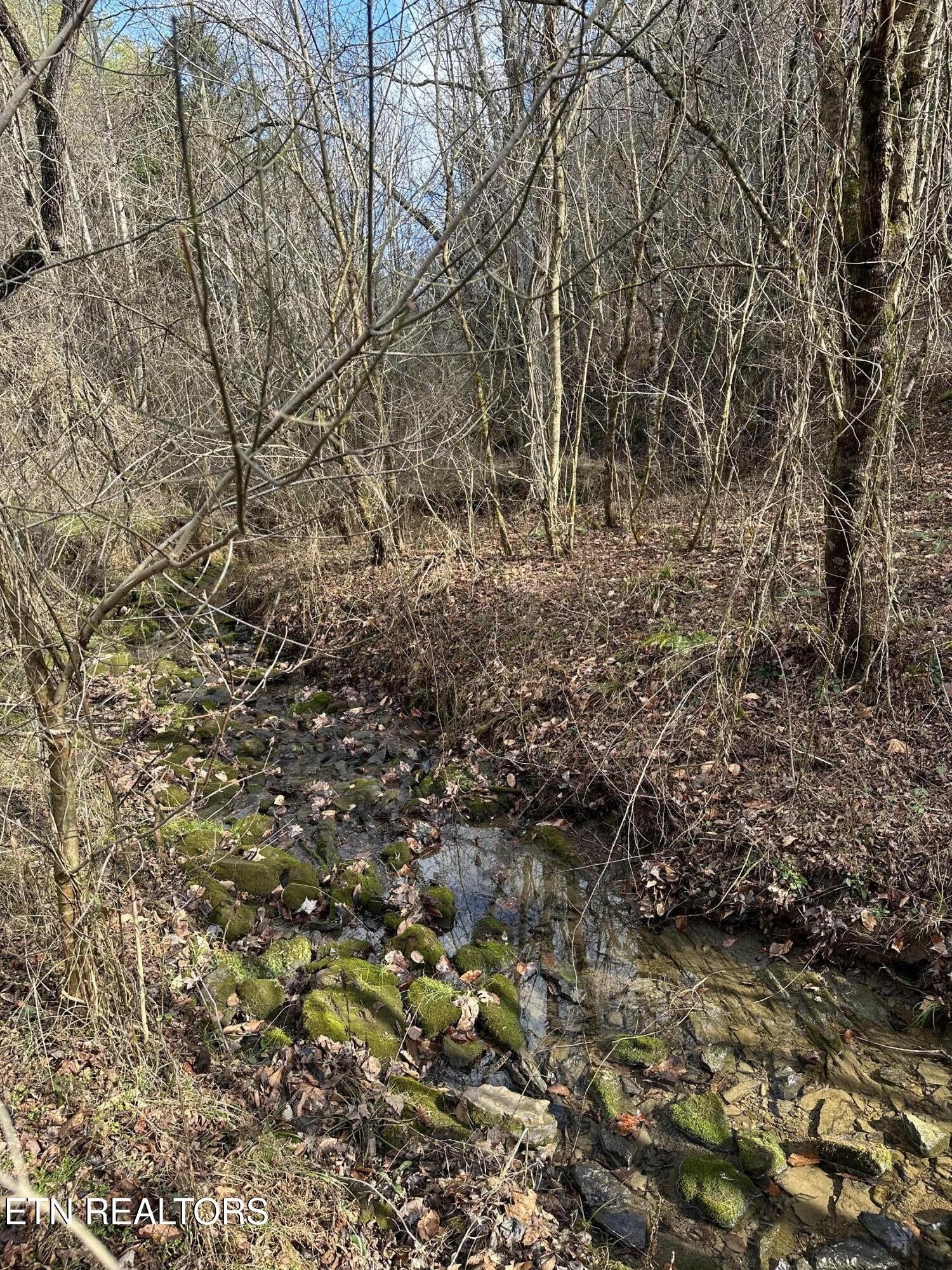 0 Leatherwood Rd Property Photo 11