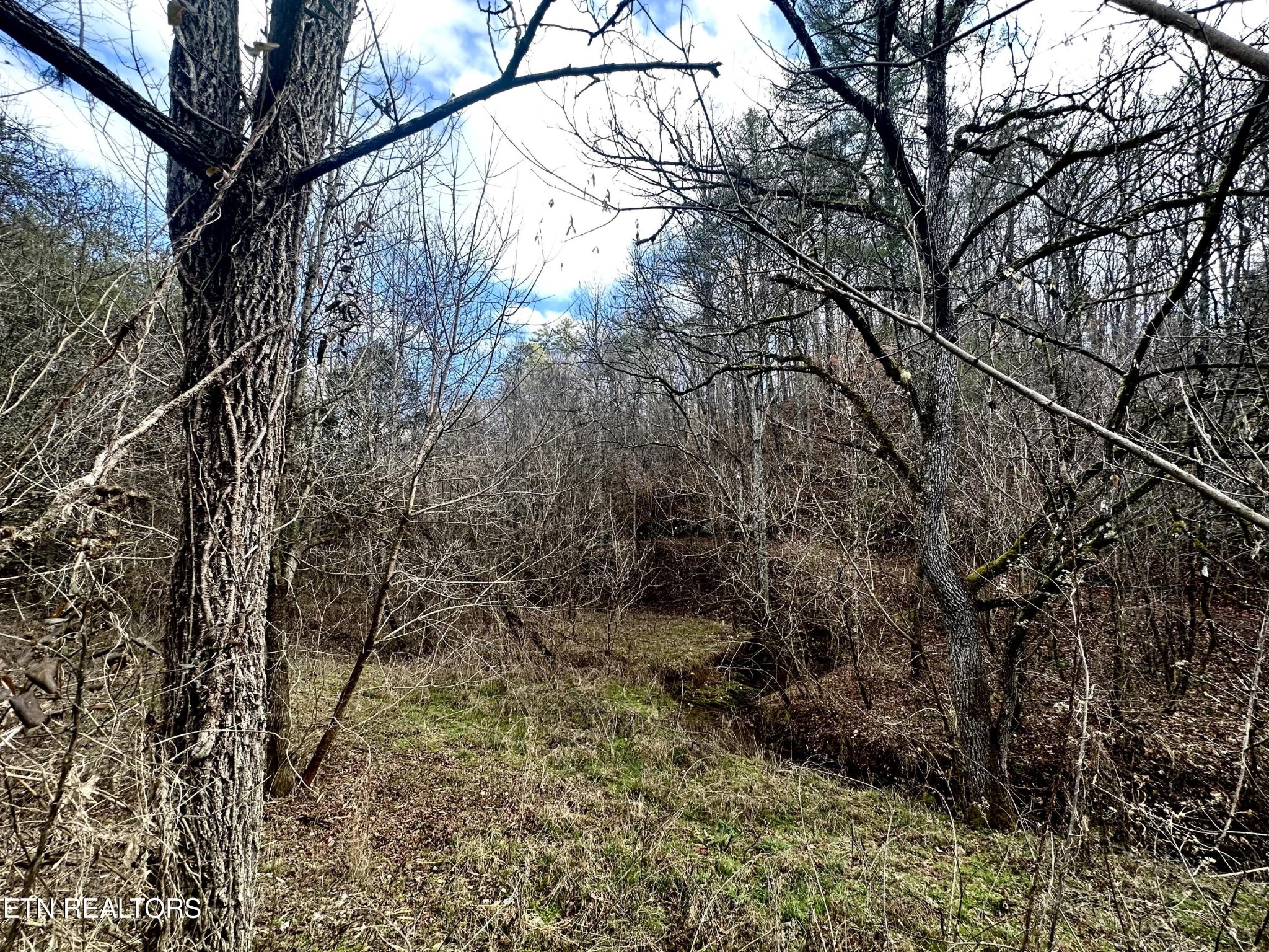 0 Leatherwood Rd Property Photo 13