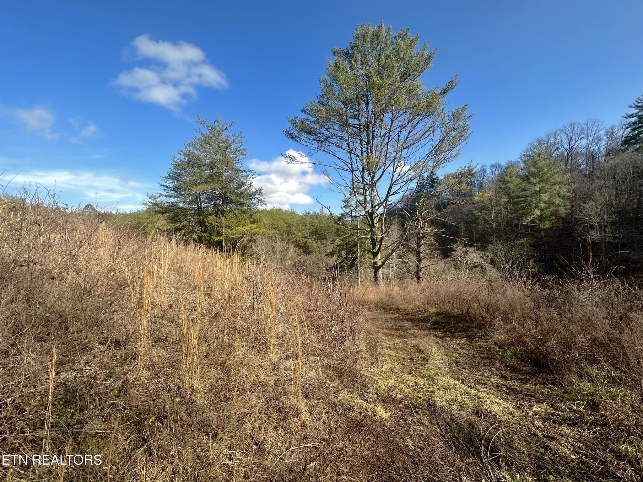 0 Leatherwood Rd Property Photo 14