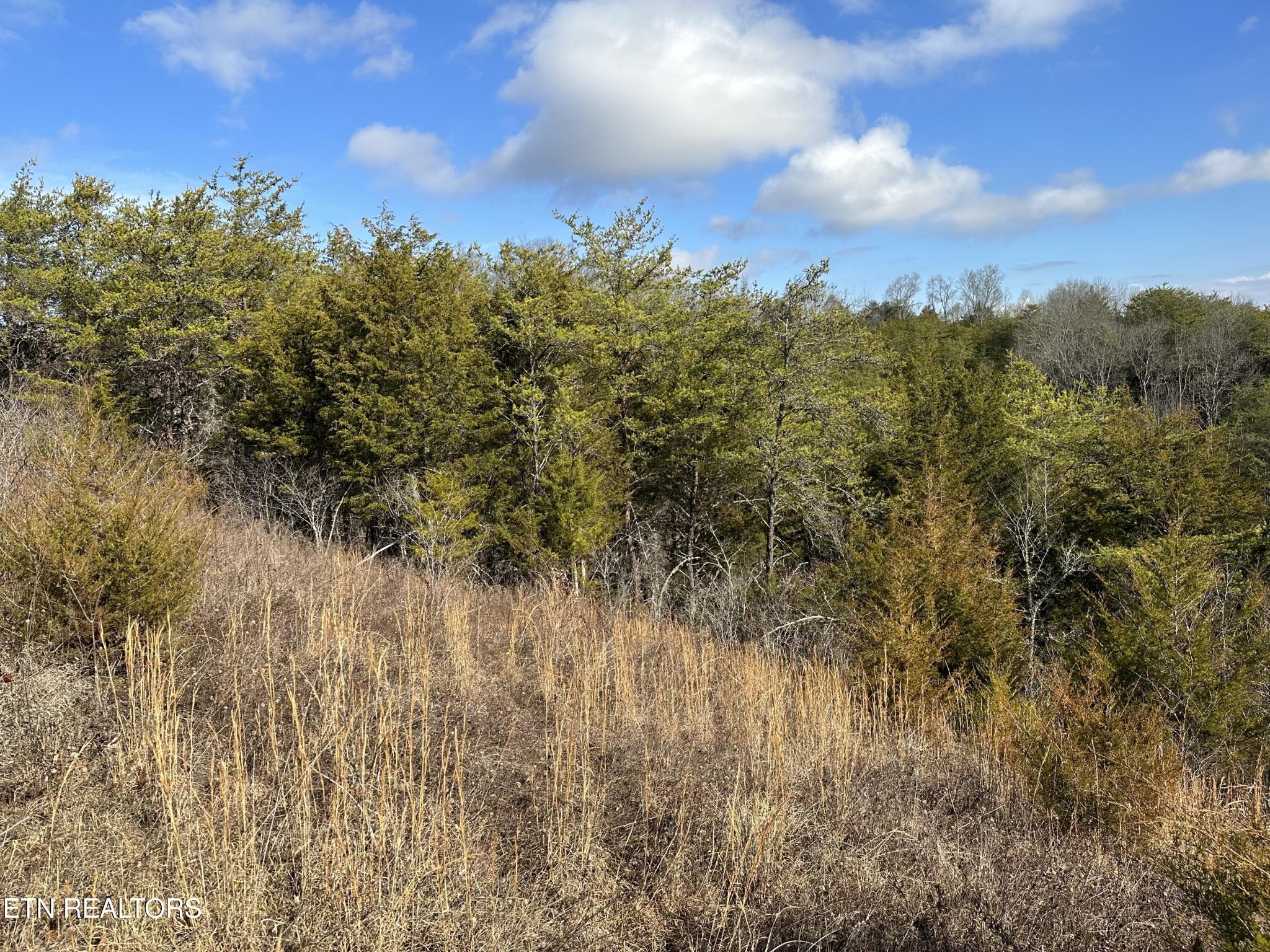 0 Leatherwood Rd Property Photo 15