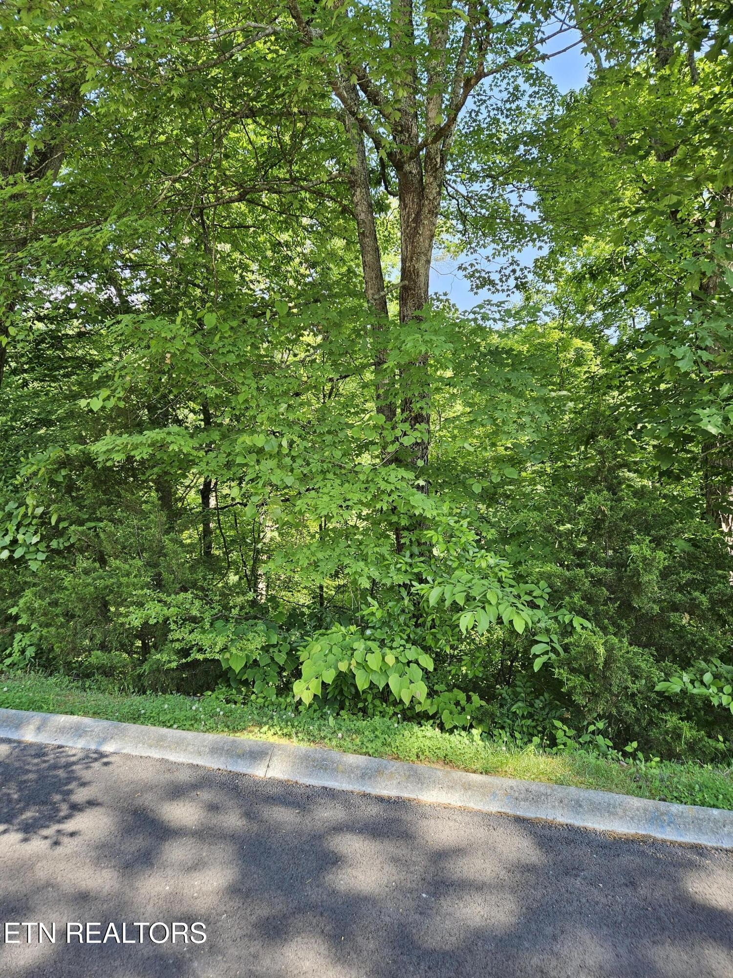 15 Saddleback Way