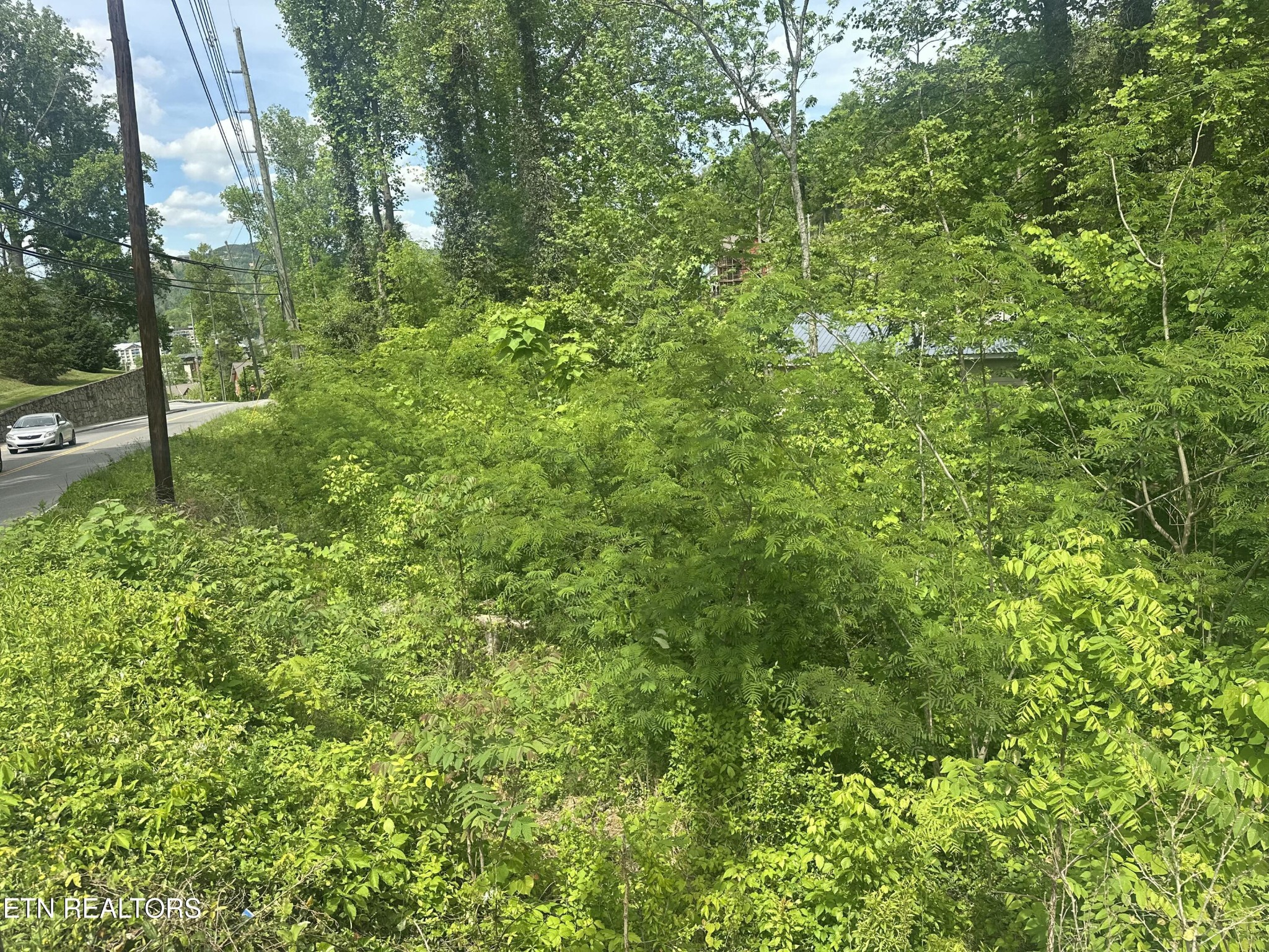 519 Cherokee Orchard Rd