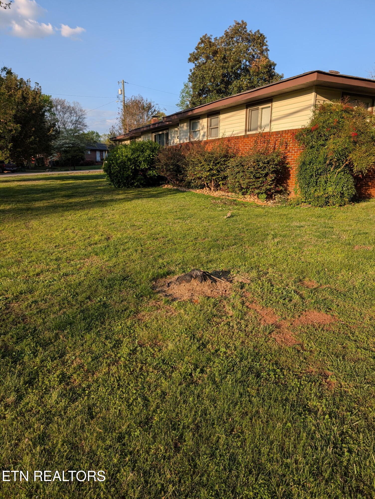 1239 Dossett St Property Photo 2