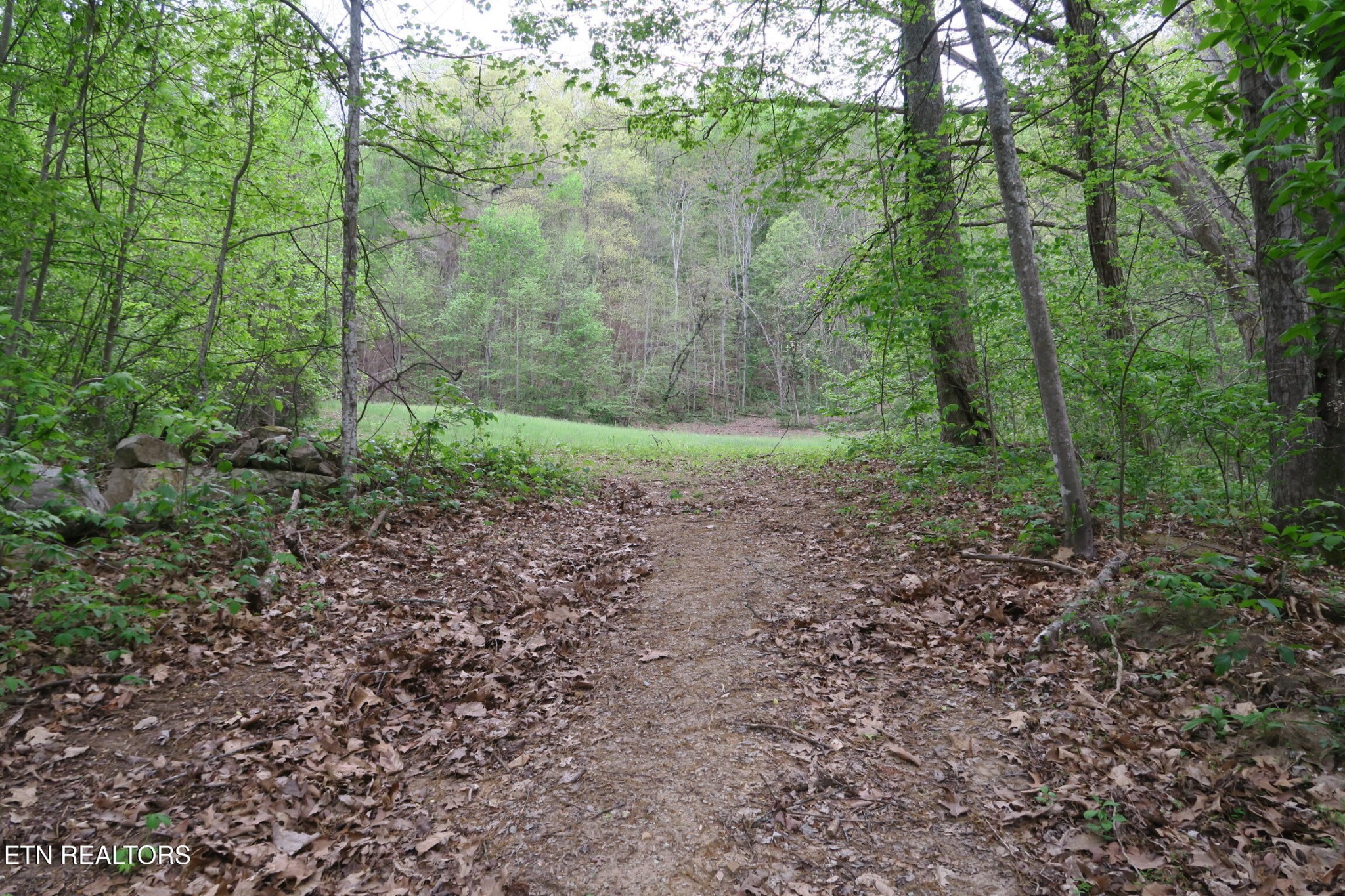 250 Mountain Side Lane