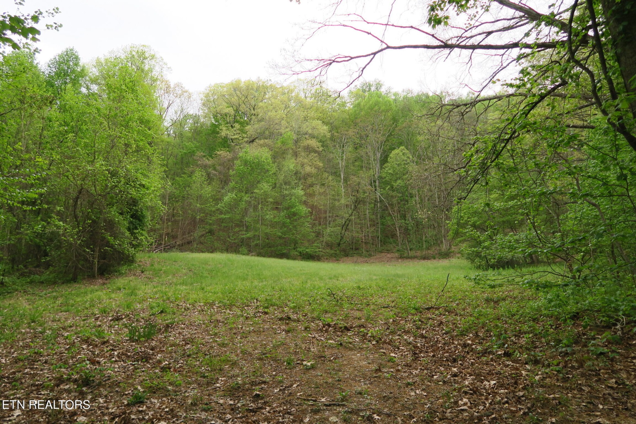 250 Mountain Side Lane Property Photo 4