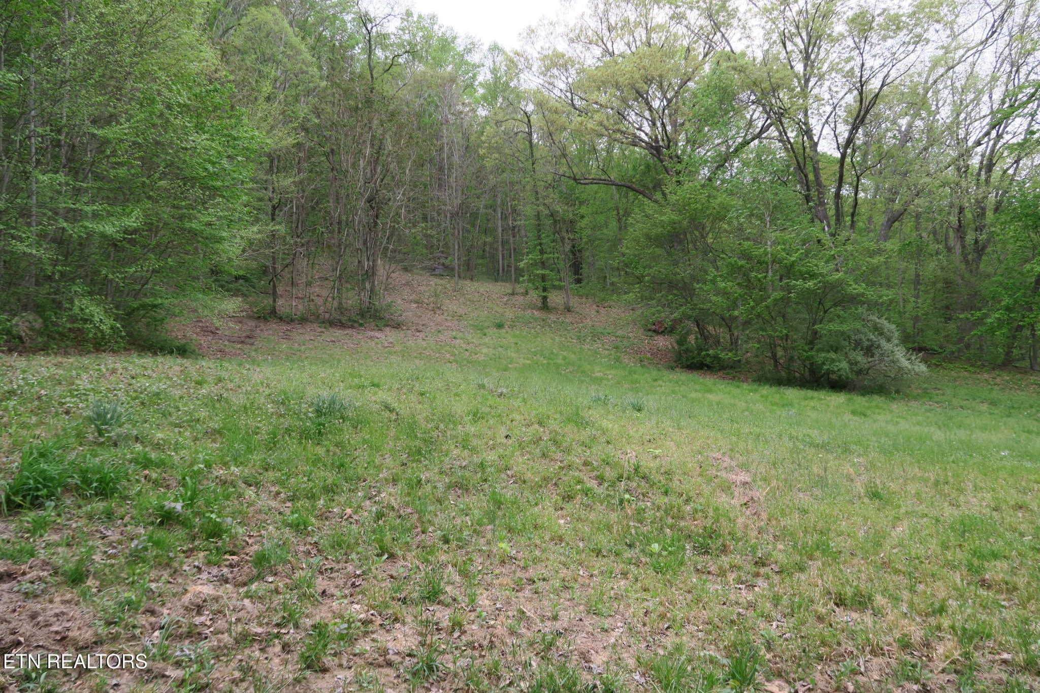 250 Mountain Side Lane Property Photo 5