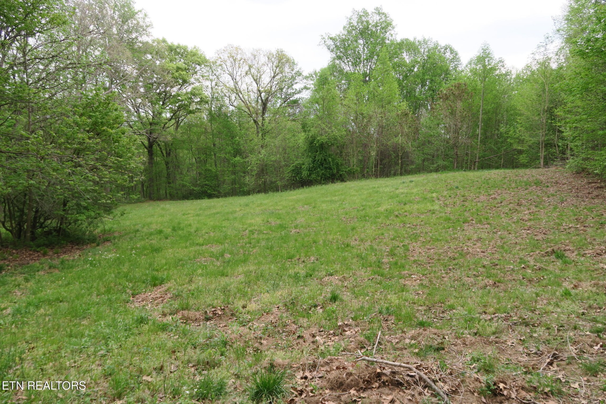 250 Mountain Side Lane Property Photo 6