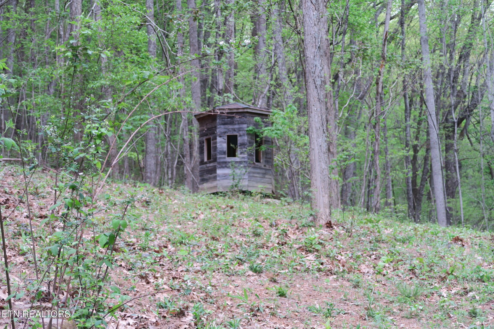 250 Mountain Side Lane Property Photo 8