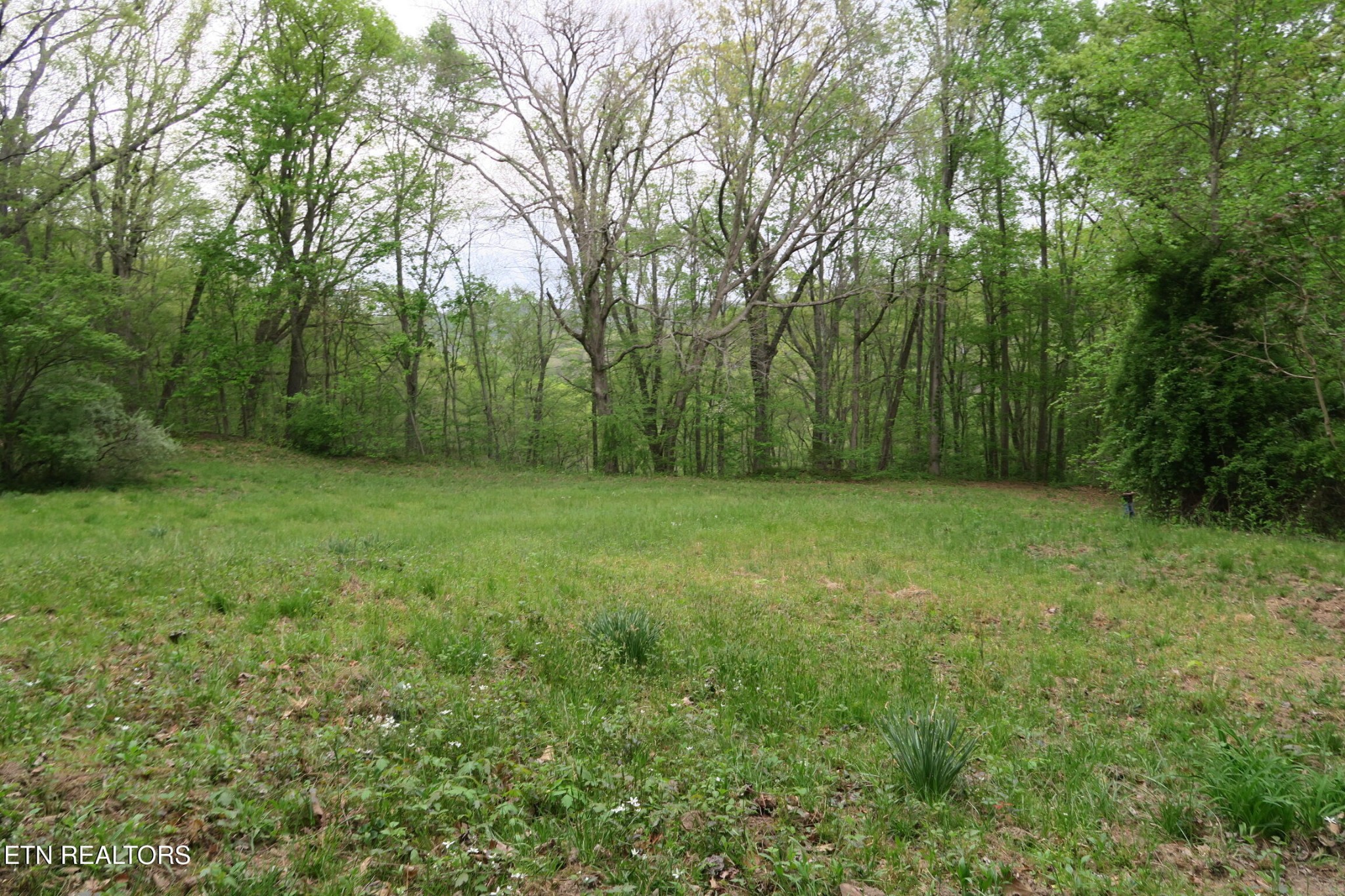 250 Mountain Side Lane Property Photo 9