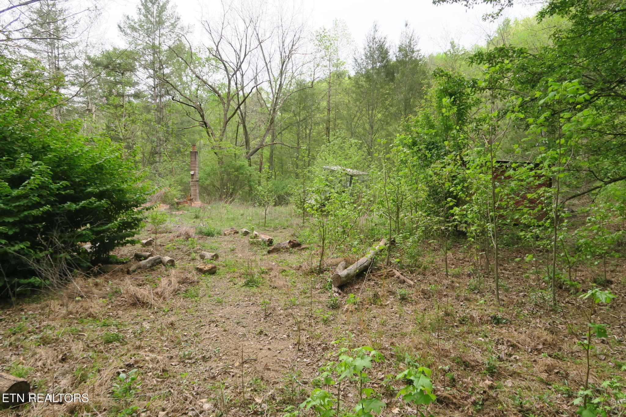 250 Mountain Side Lane Property Photo 16