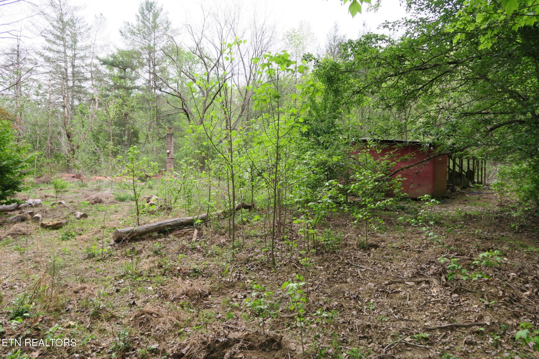 250 Mountain Side Lane Property Photo 17