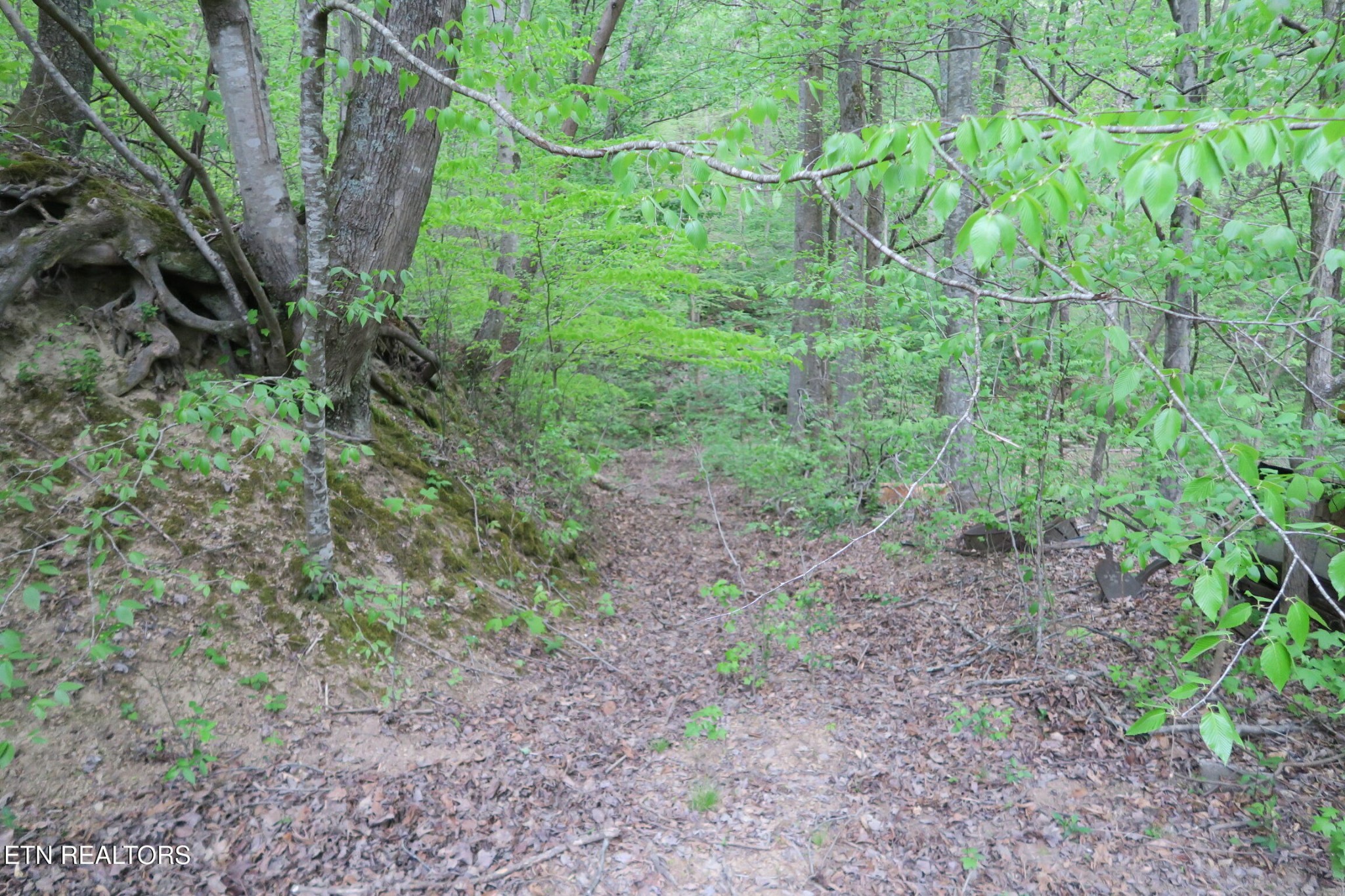 250 Mountain Side Lane Property Photo 18