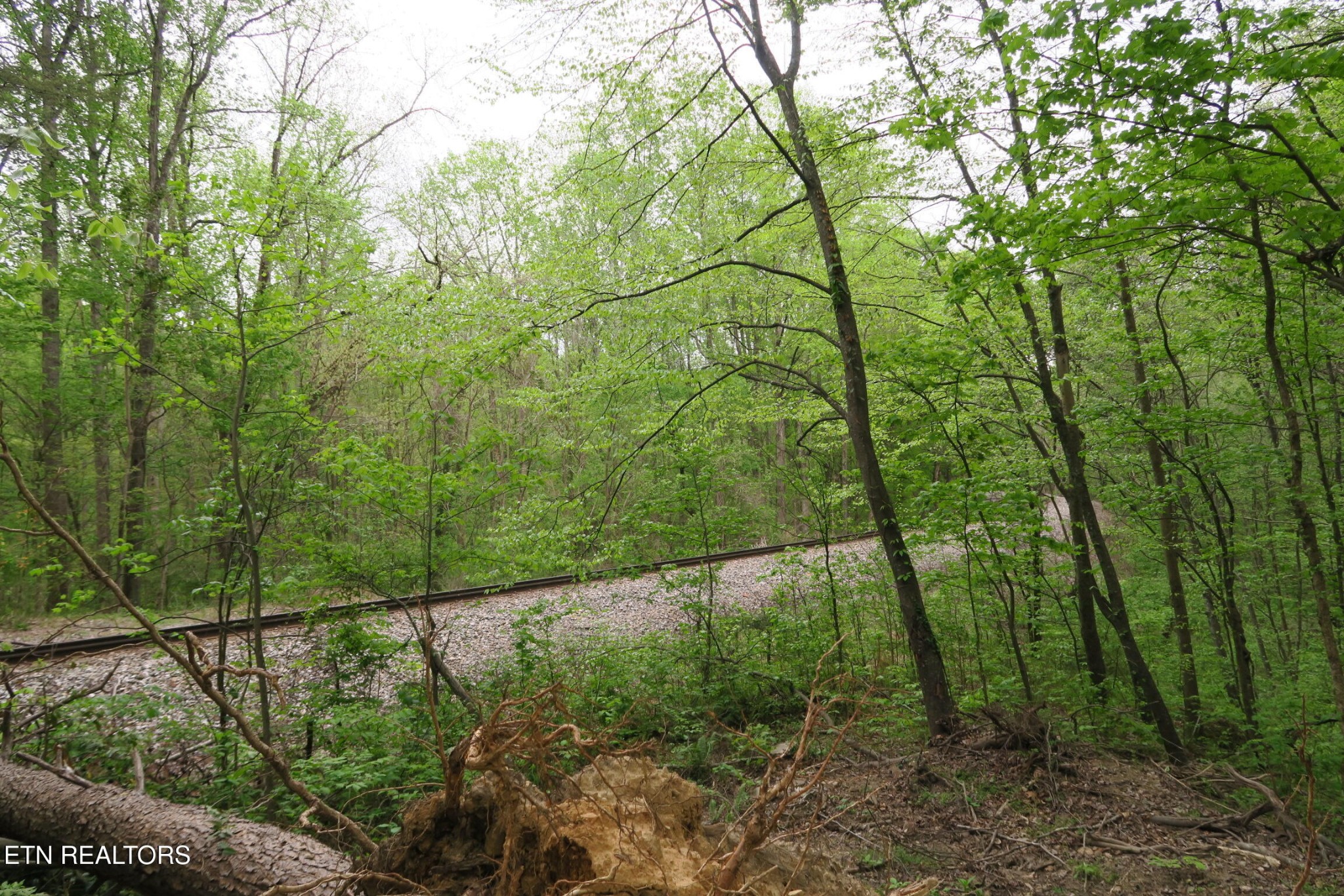 250 Mountain Side Lane Property Photo 20