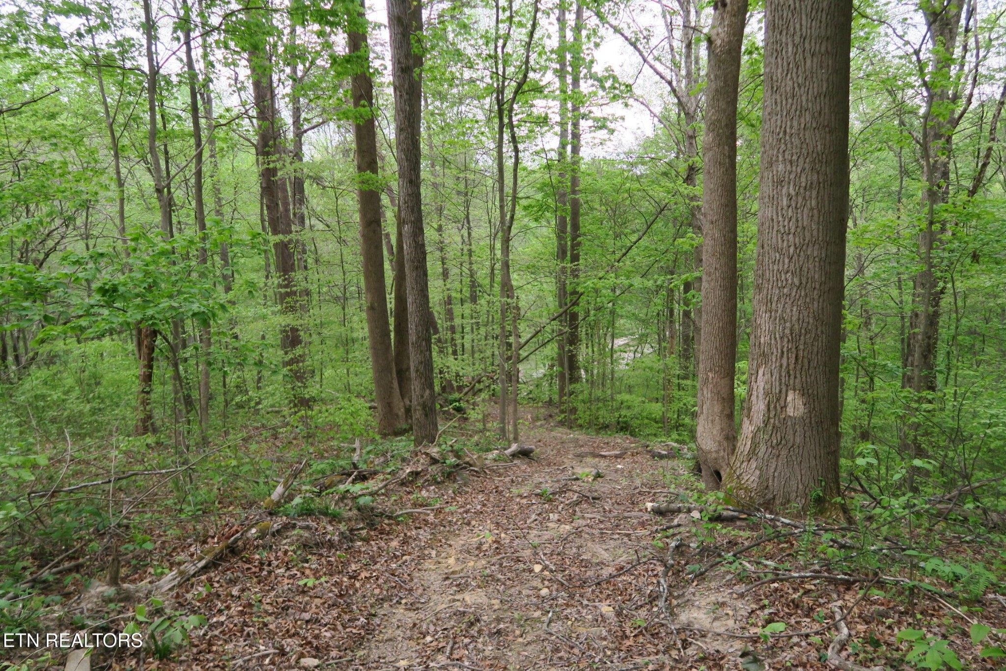 250 Mountain Side Lane Property Photo 22