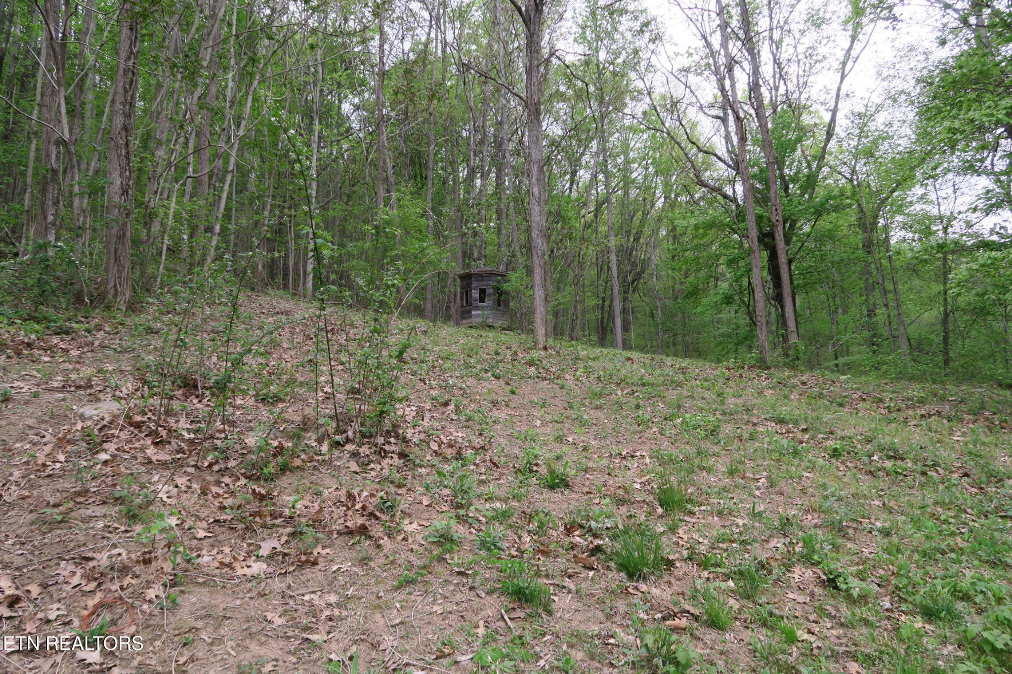 250 Mountain Side Lane Property Photo 27