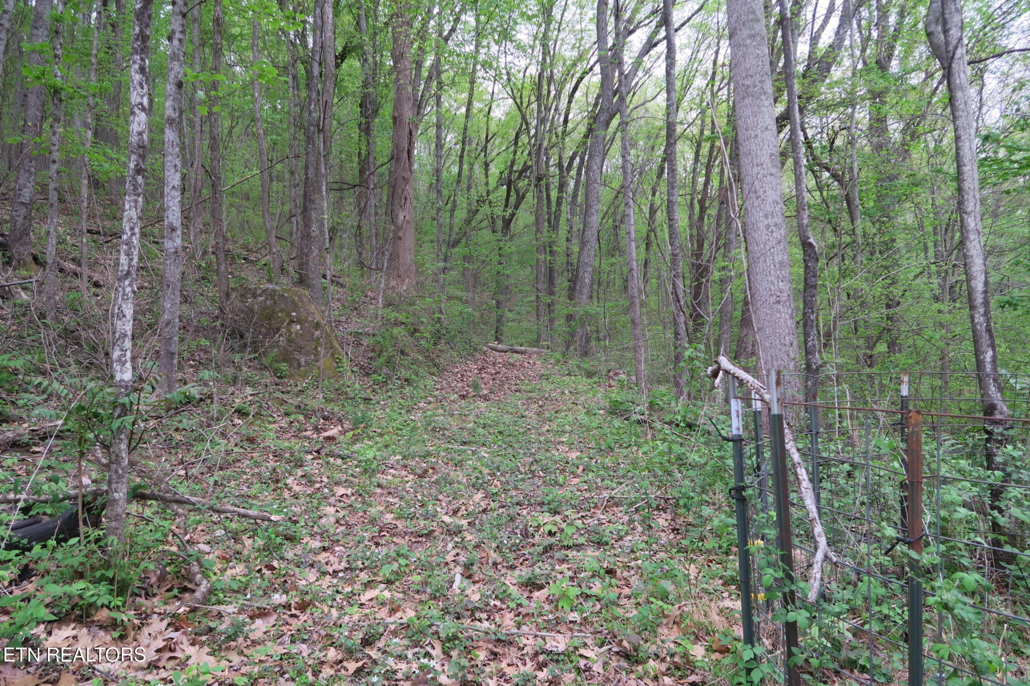 250 Mountain Side Lane Property Photo 28