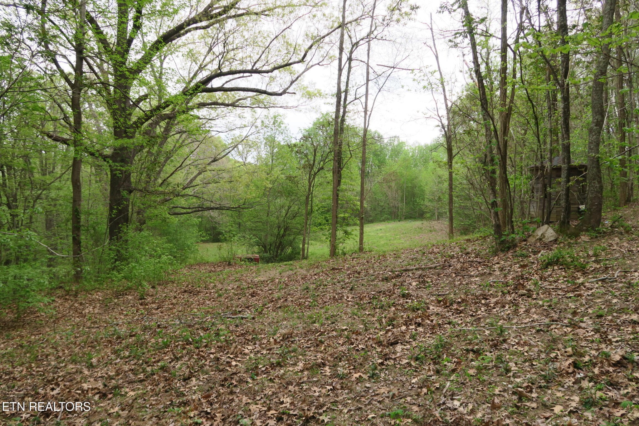250 Mountain Side Lane Property Photo 29