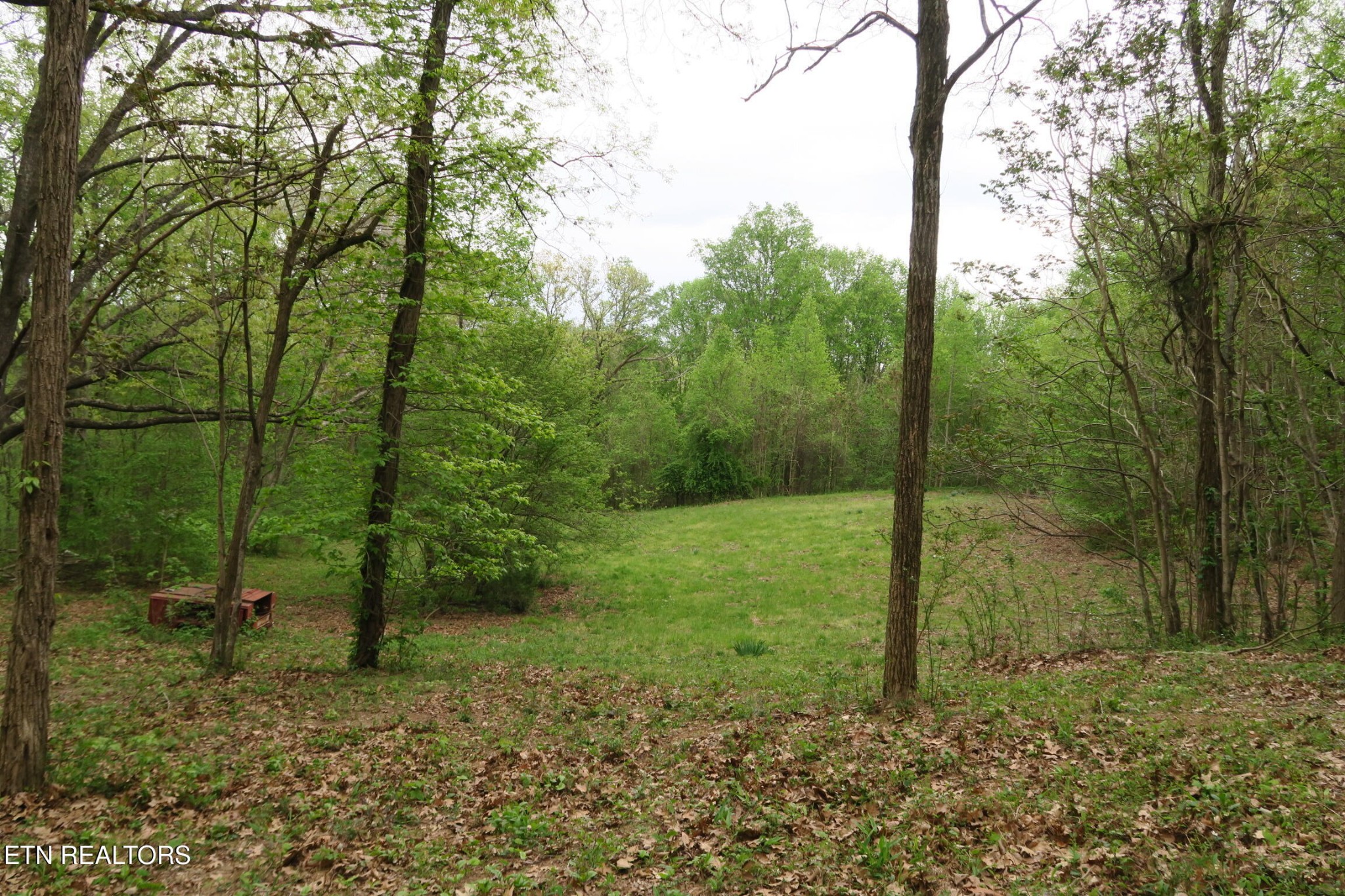 250 Mountain Side Lane Property Photo 30