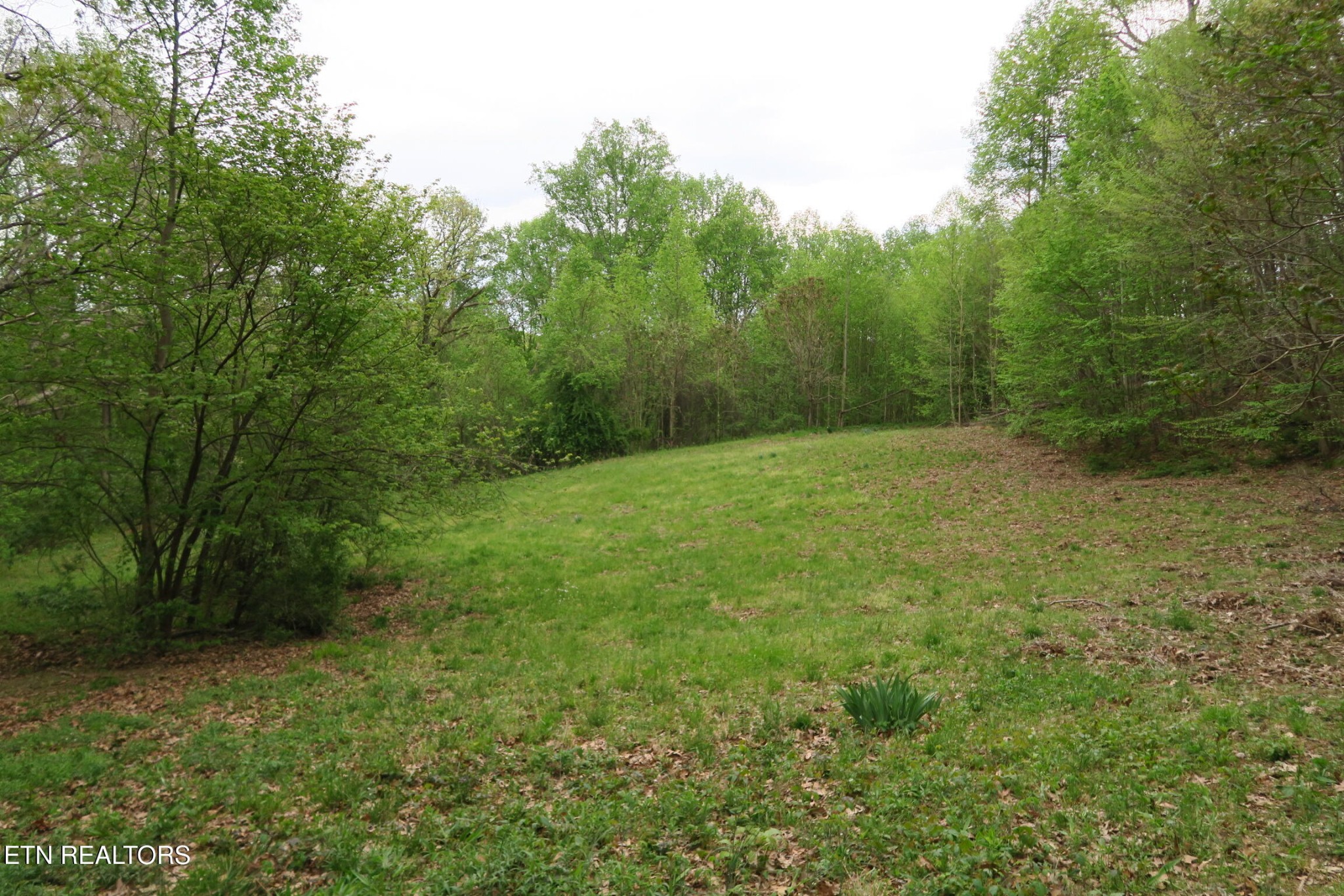 250 Mountain Side Lane Property Photo 31