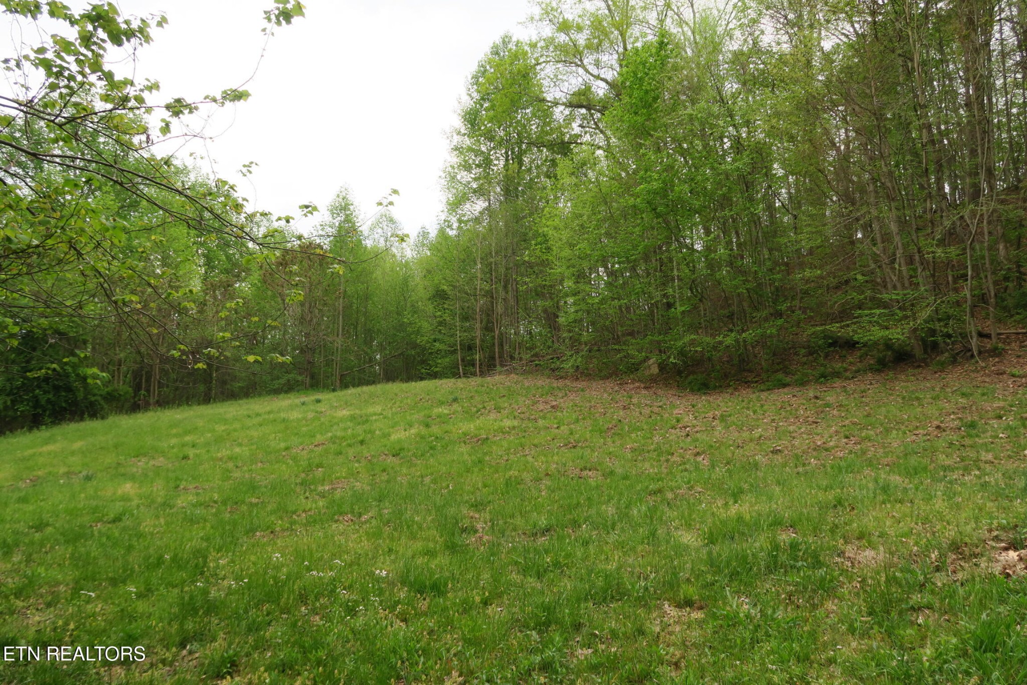 250 Mountain Side Lane Property Photo 33