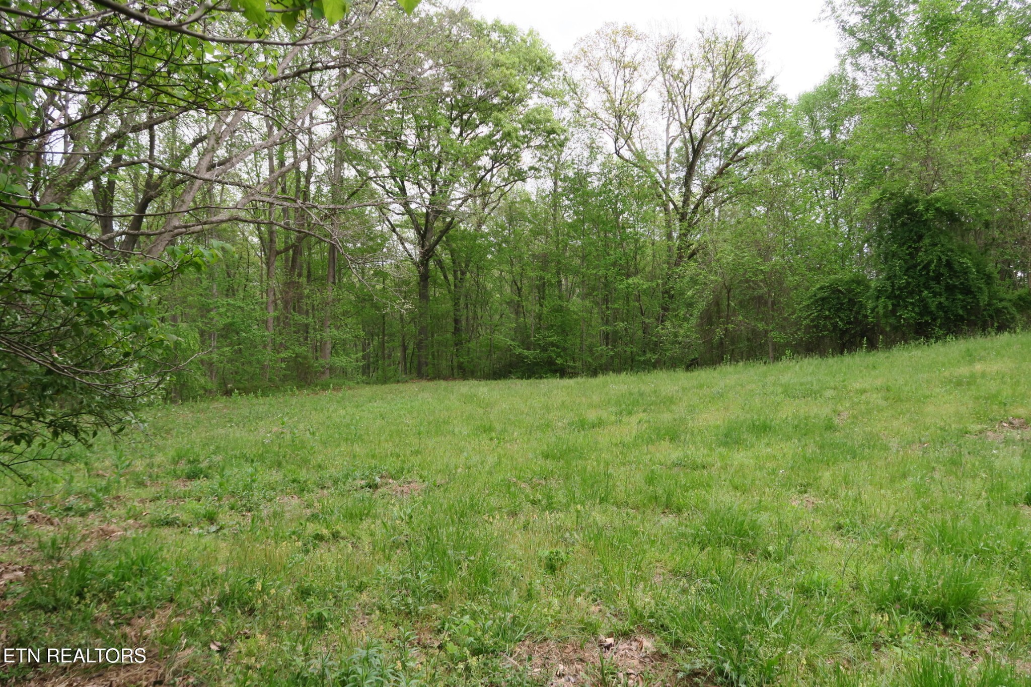 250 Mountain Side Lane Property Photo 34