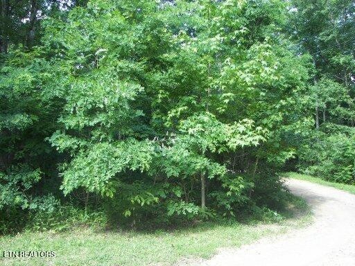 30 Butternut Lane Property Photo 1