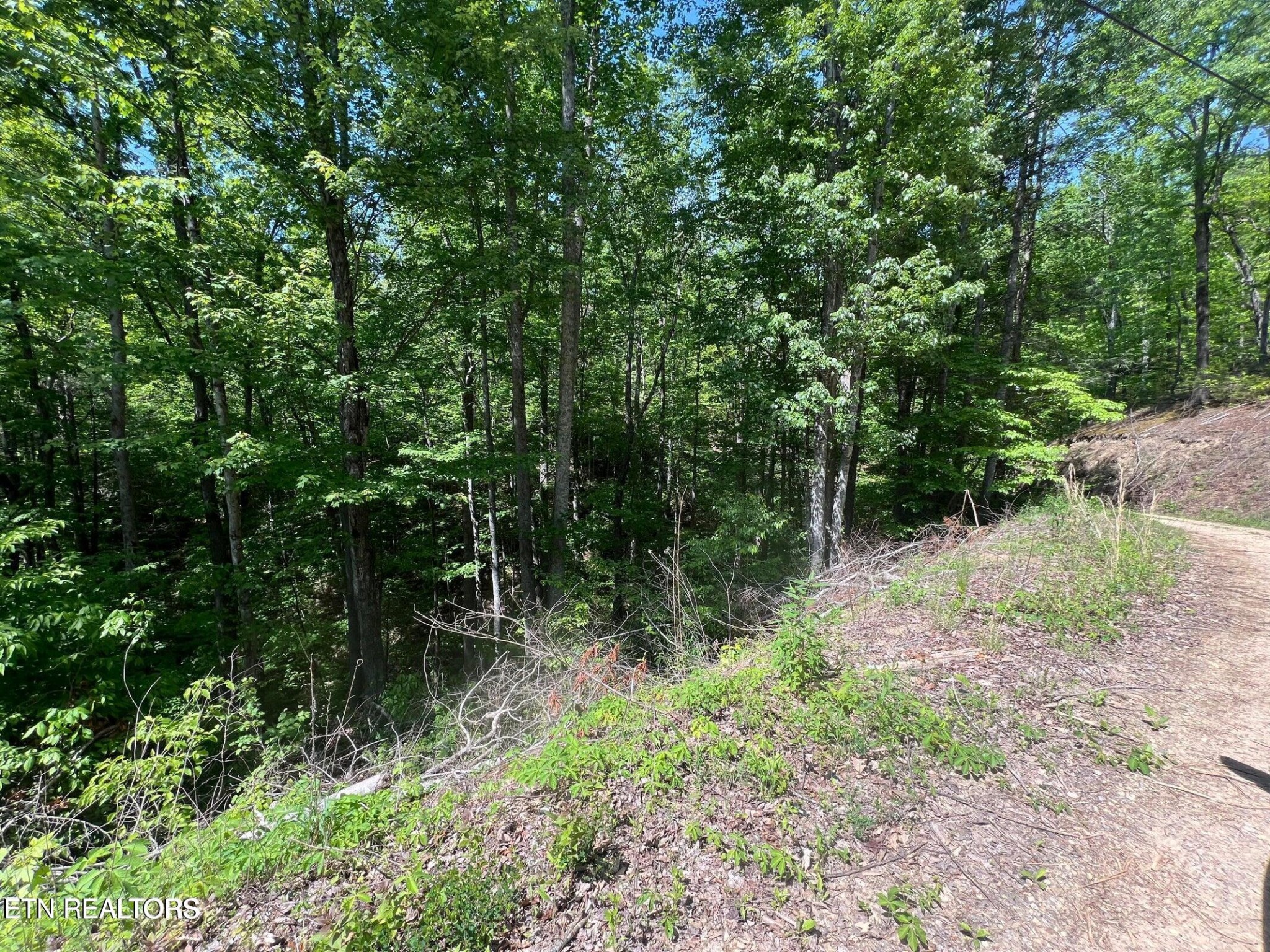 55 Butternut Lane Property Photo 1