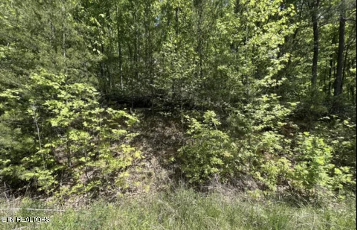 23 Green Meadows Dr