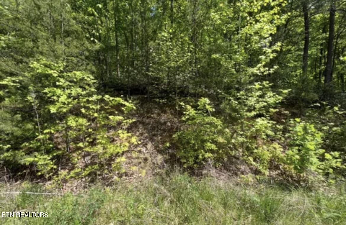 50 Yellowwood Drive Property Photo 1