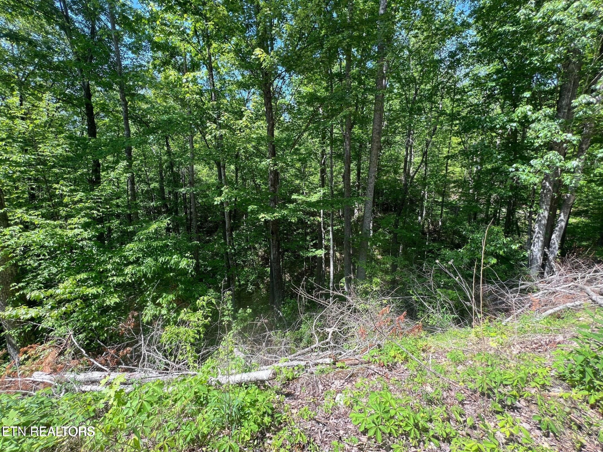 26 Black Oak Pl Property Photo 1
