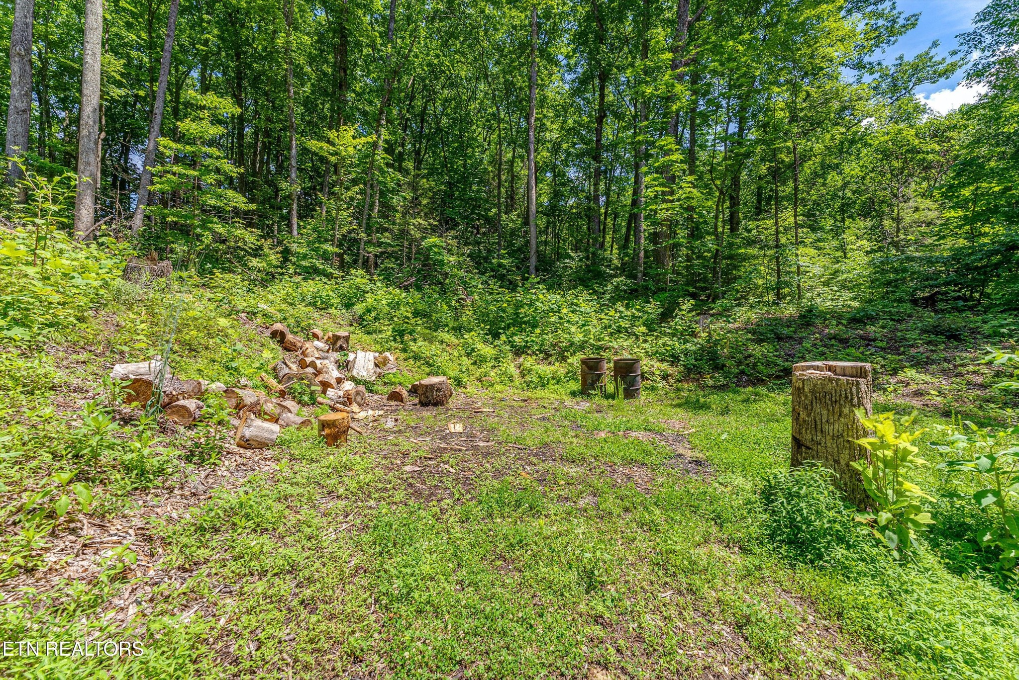 229 Sonshine Ridge Rd Property Photo 1