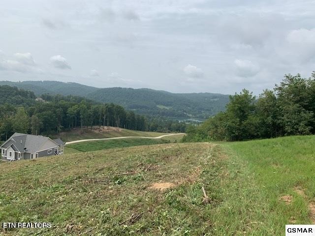 0 Mountain Way Property Photo 1