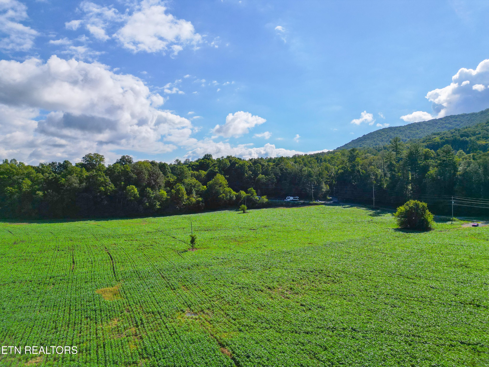 61 Cosby Hwy Property Photo 1