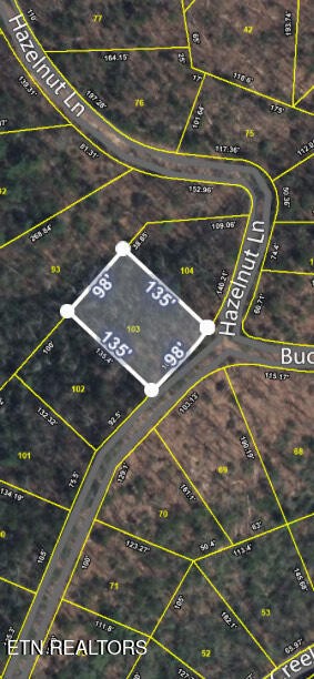 103 Buckeye Rd Property Photo 2