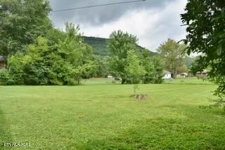 181 Spring St Property Photo 51