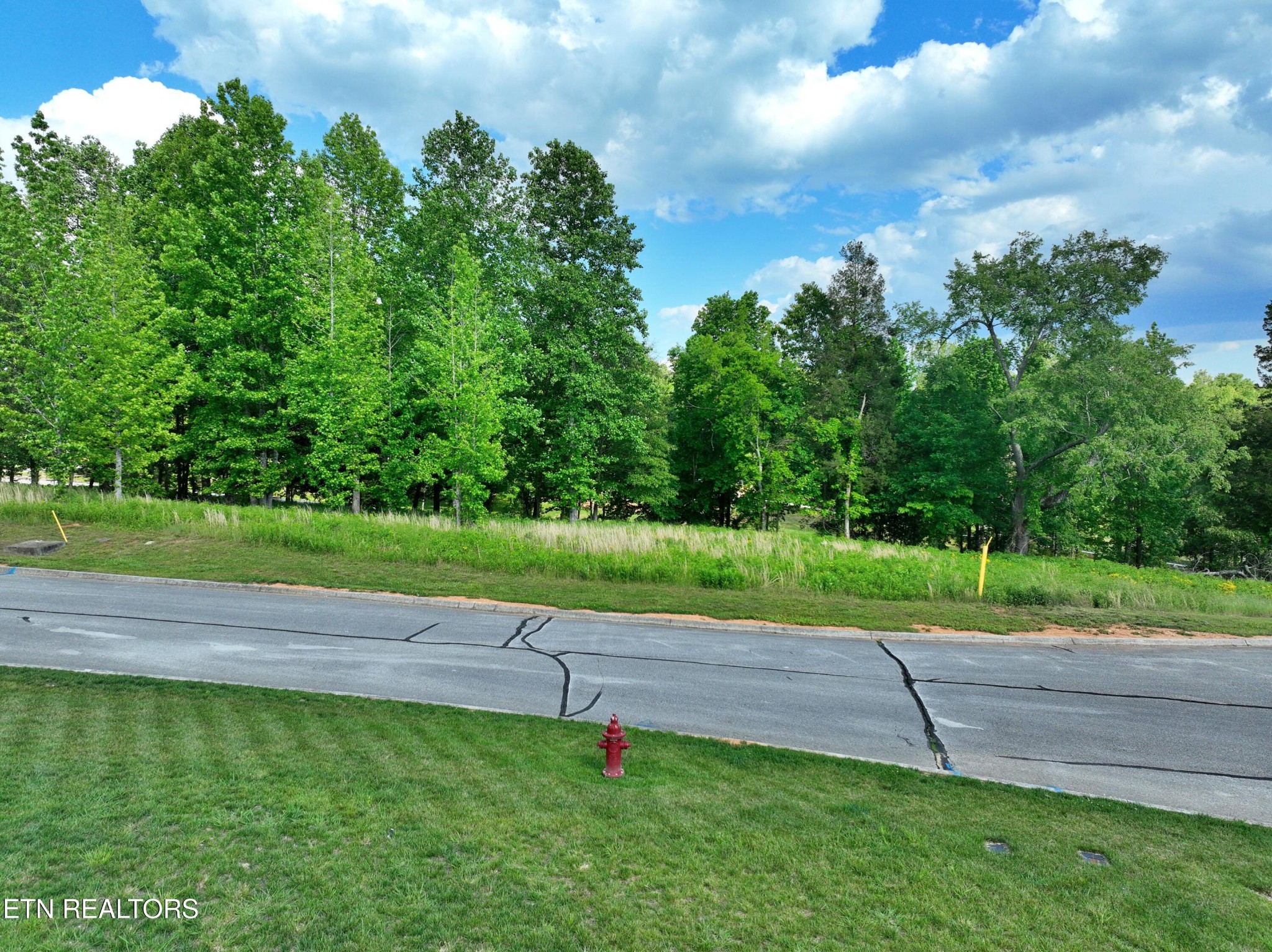 56 Blue Heron Bluff Rd Property Photo 1