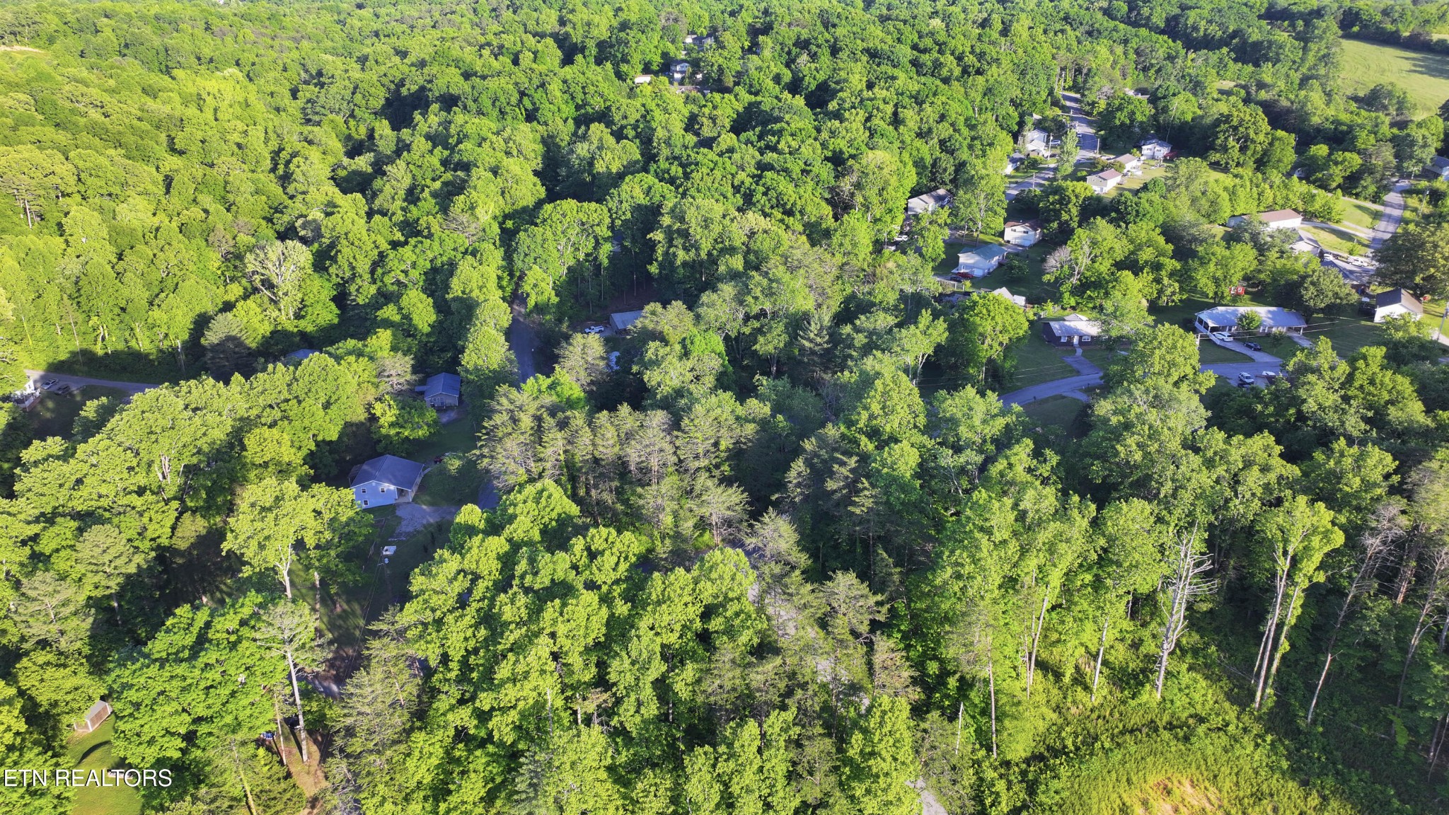 86 Hidden Hills Drive Property Photo 1