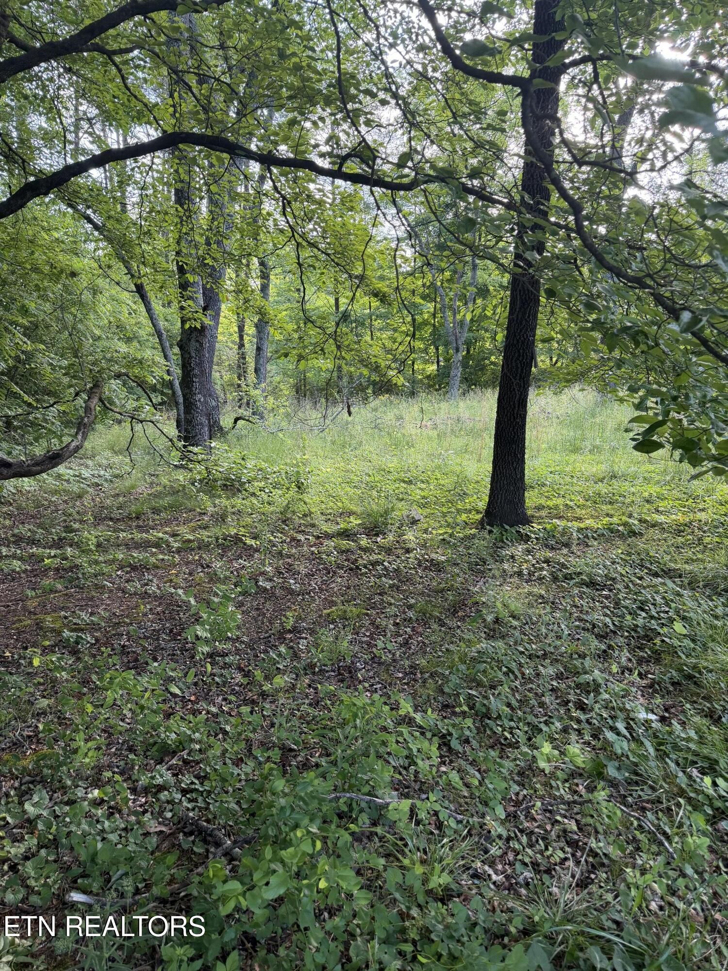 86 Hidden Hills Drive Property Photo 6