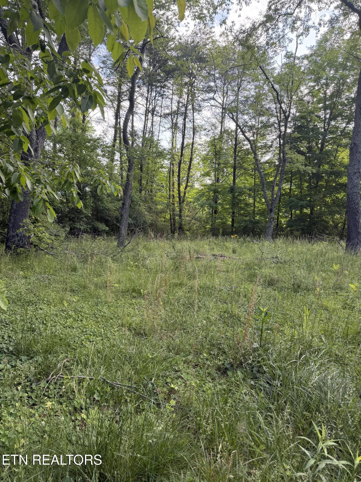 86 Hidden Hills Drive Property Photo 7