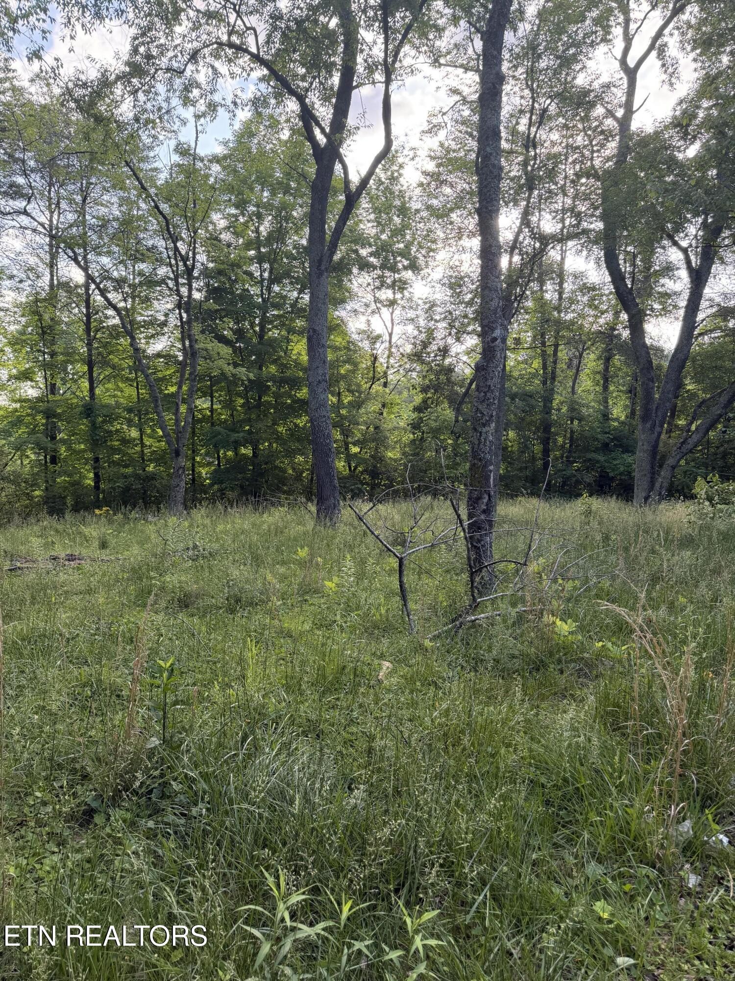 86 Hidden Hills Drive Property Photo 8