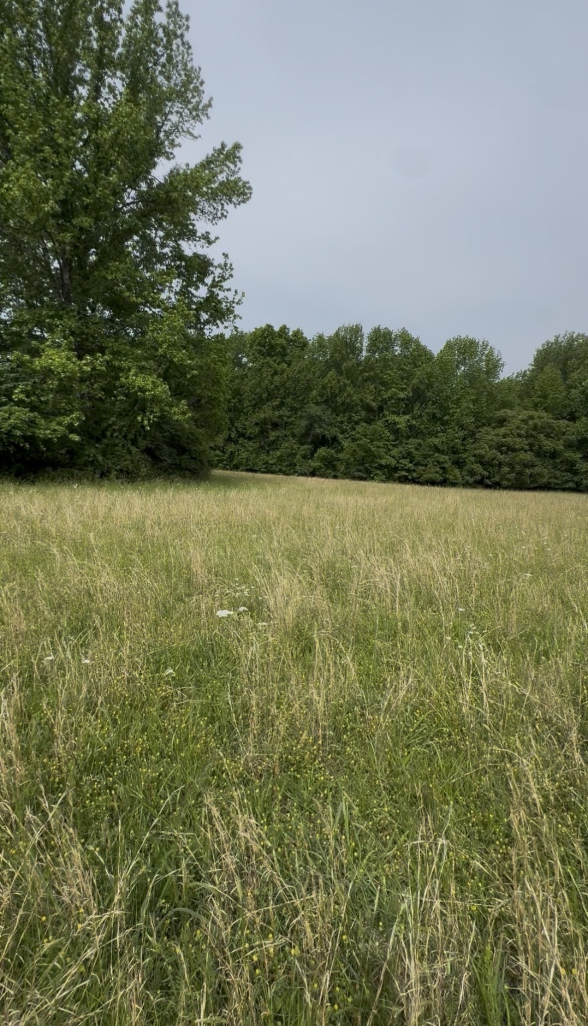 0 Riverview Road Property Photo 1