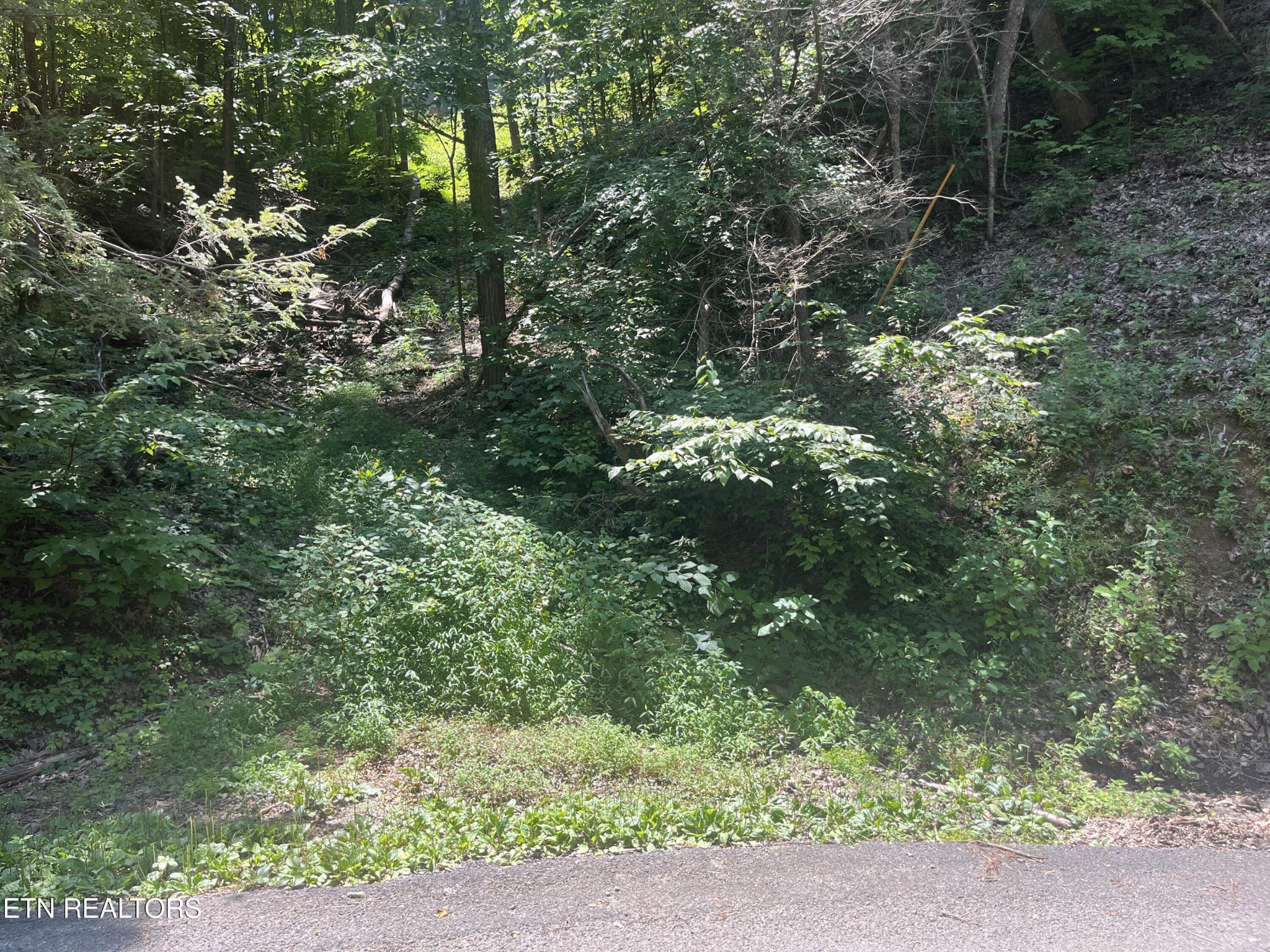 331 Ridgefield Drive
