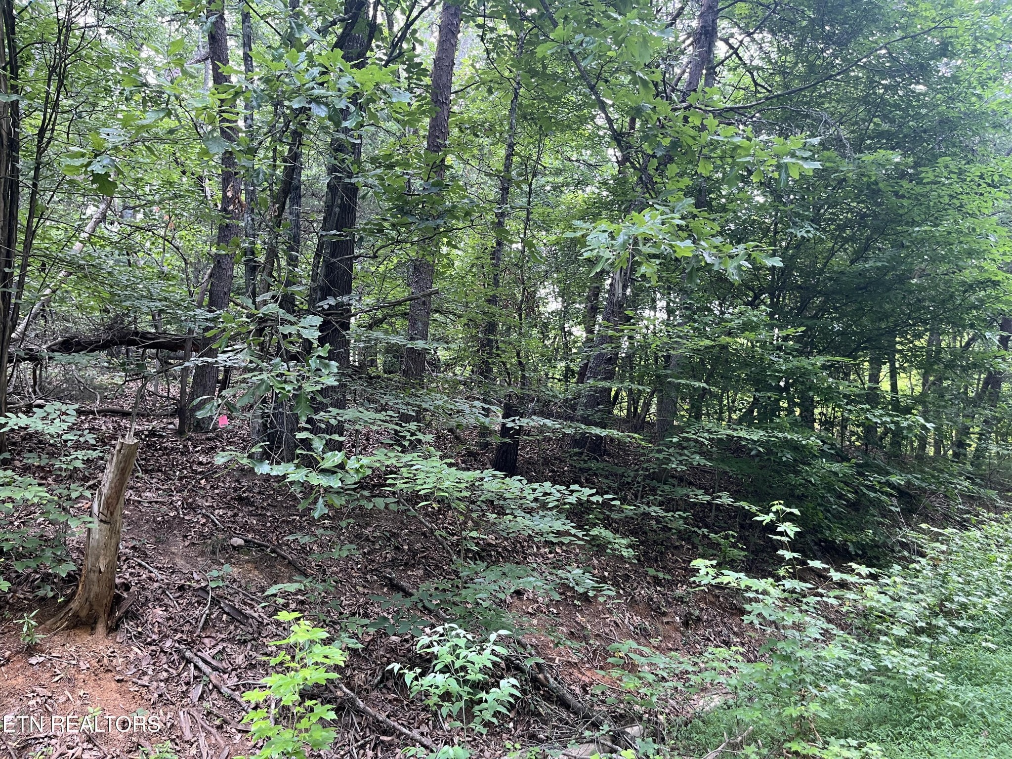 3278 Hillside Rd Property Photo 1