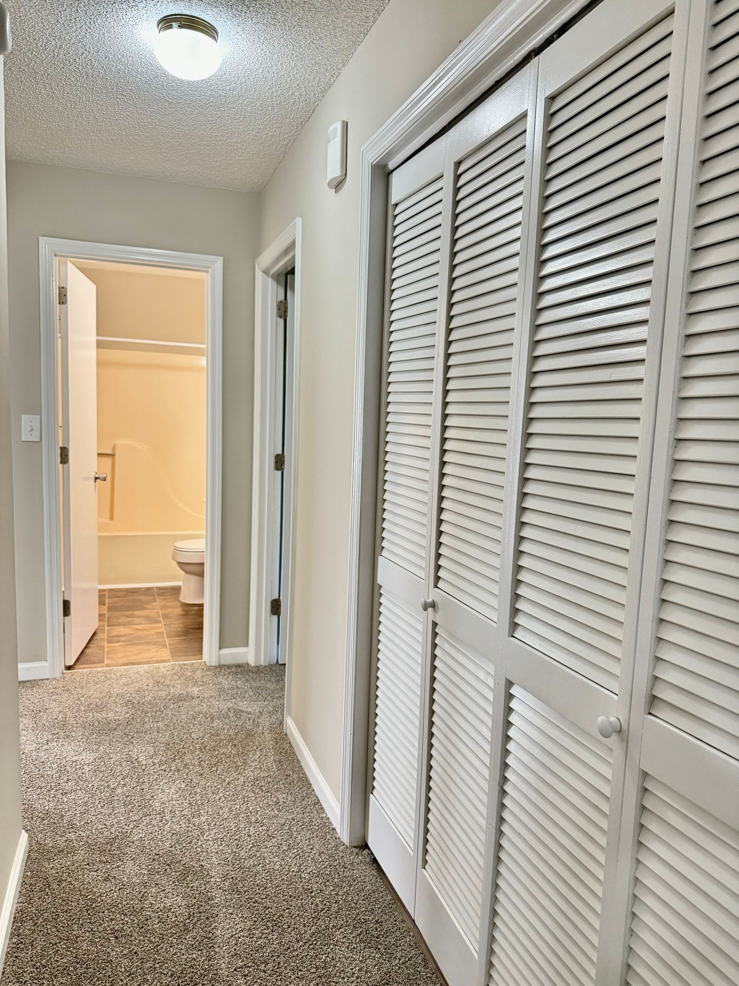 69 Grassmire Property Photo 8