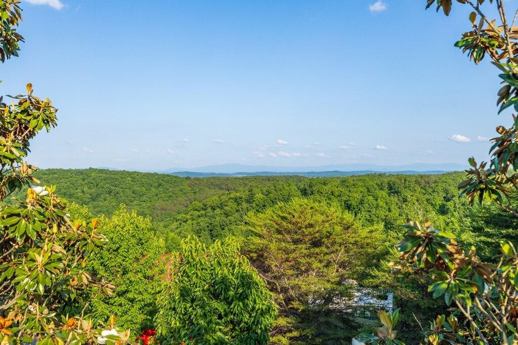 5625 Harrison Pike Property Photo 8