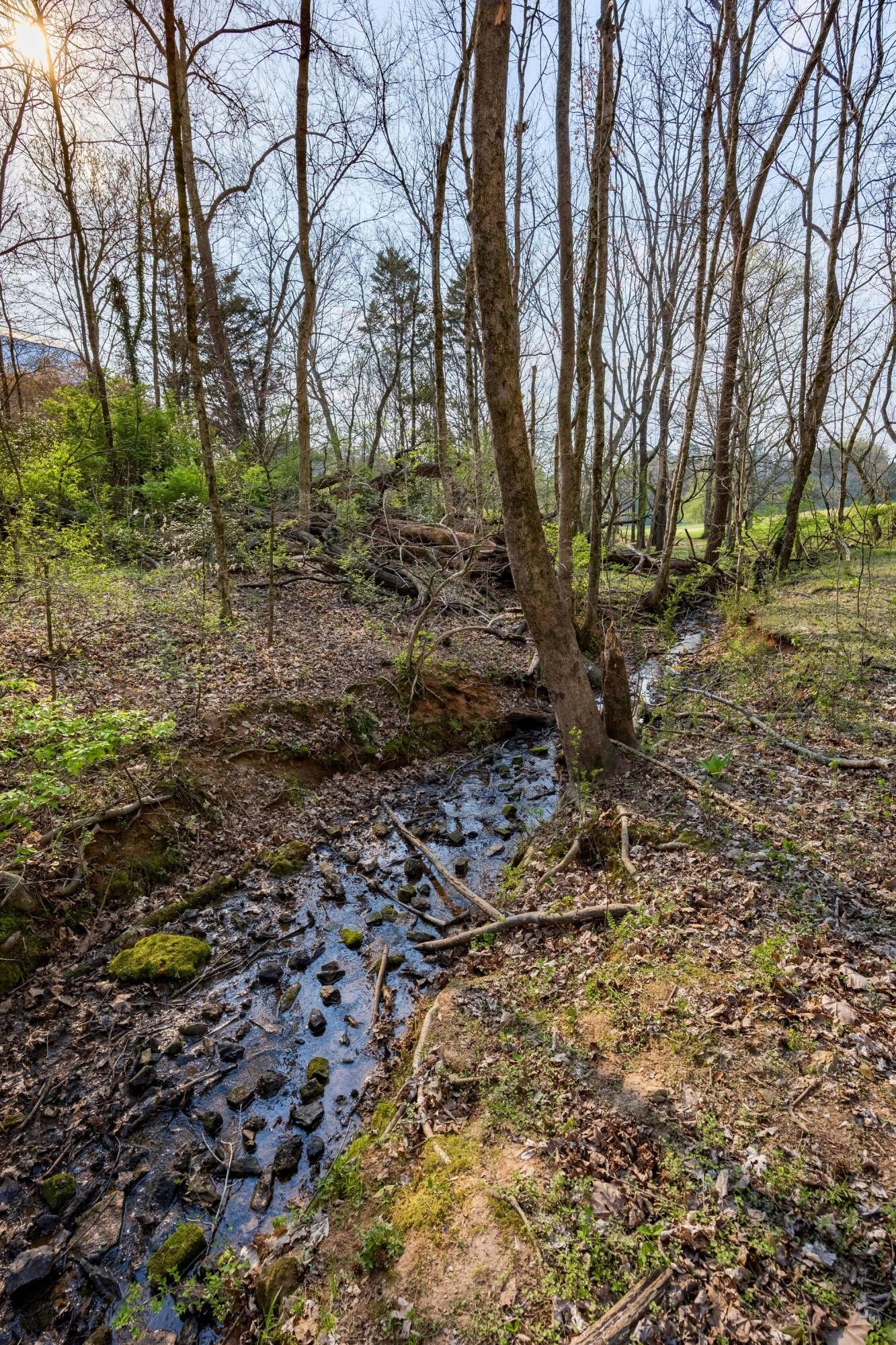 1025 Cedar Springs Road Property Photo 34
