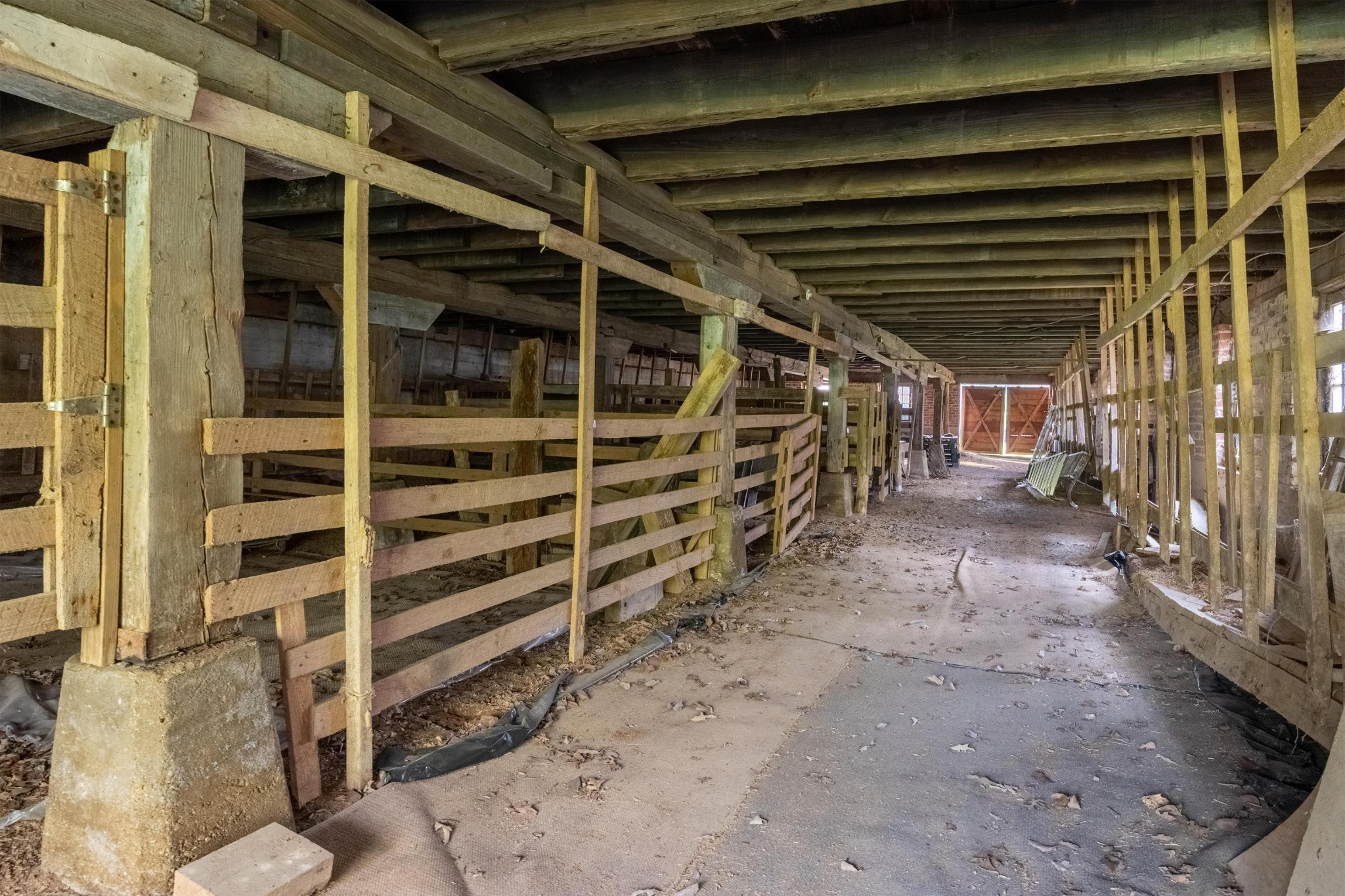 1025 Cedar Springs Road Property Photo 82