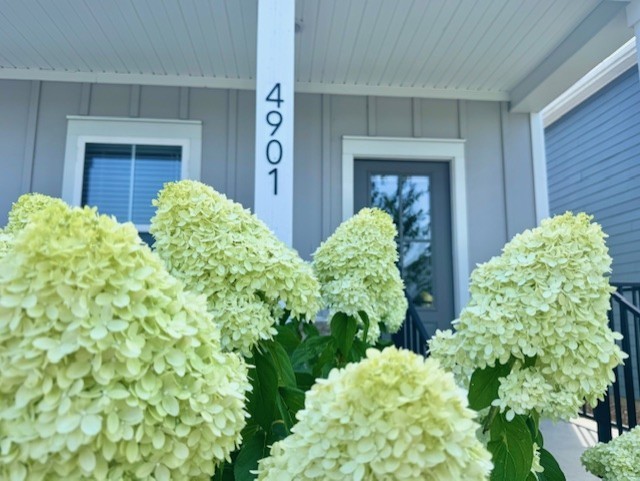 4901 Myra Dr Property Photo 43