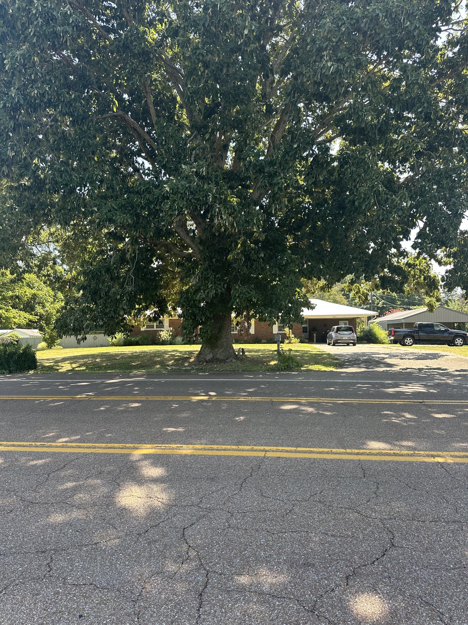 16572 Highway 211 Property Photo 4