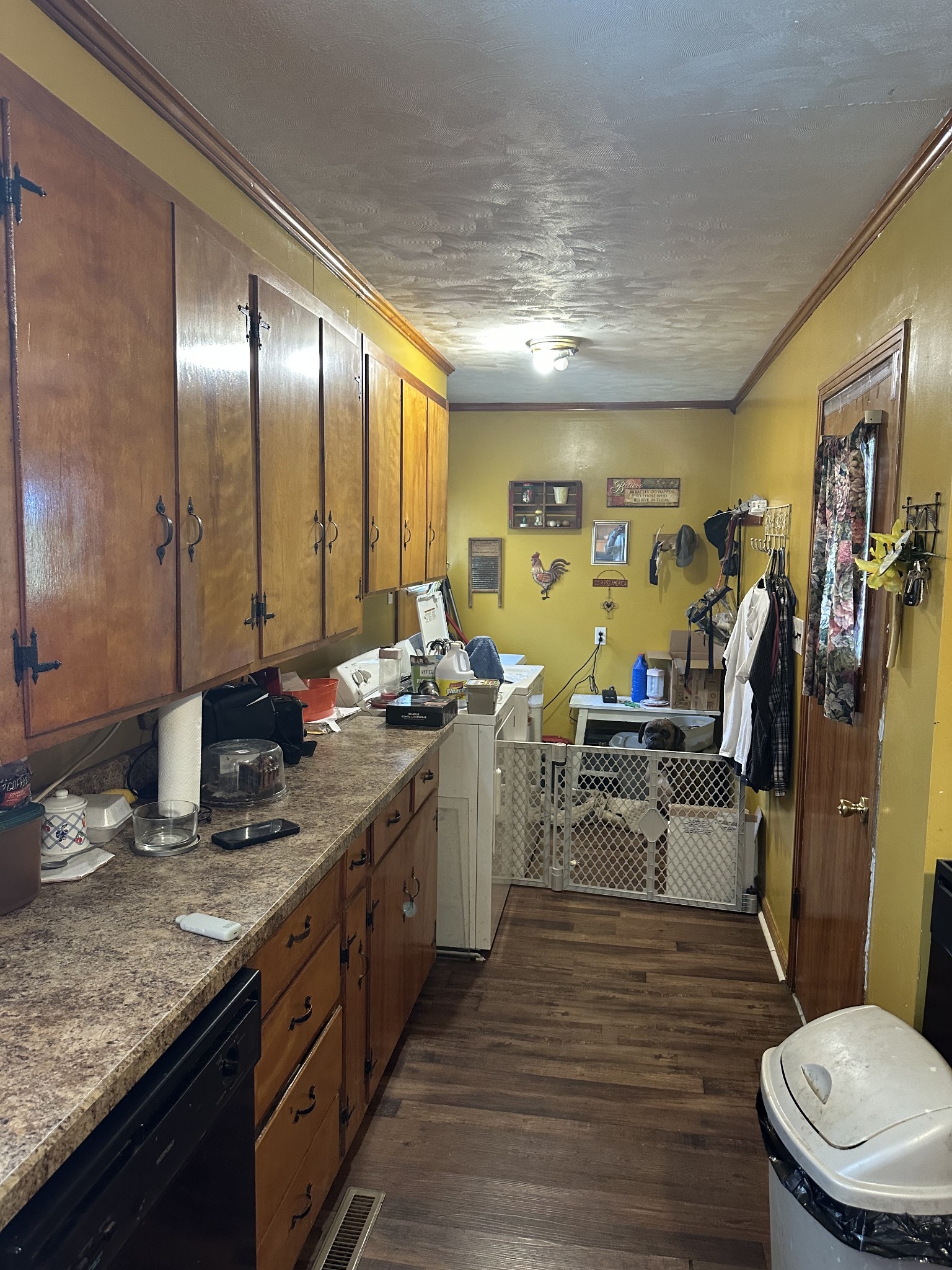 16572 Highway 211 Property Photo 12